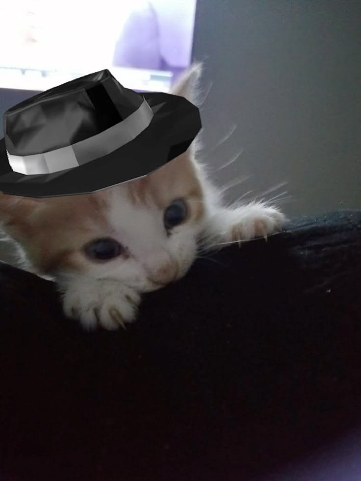 vtqz